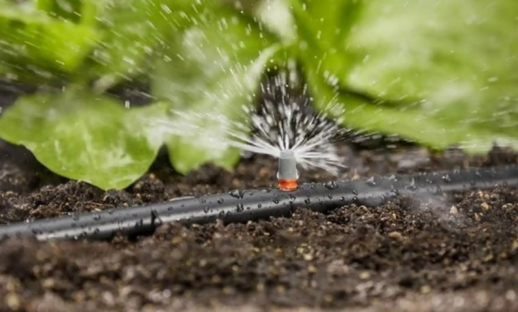 أنظمة الري الذكية