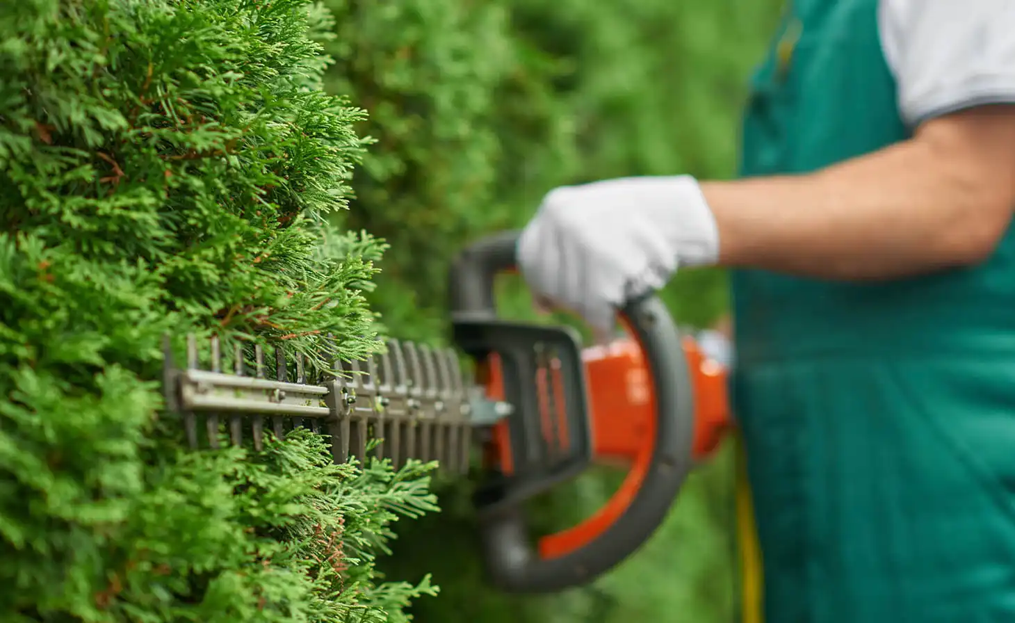 الصيانة والمتابعة